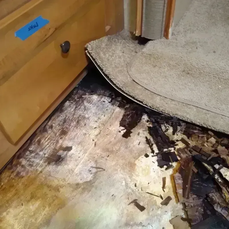 Wood Floor Water Damage in Dundalk, MD